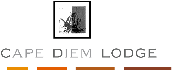Boutique Hotel Accommodation in Green Point Cape Town - Cape Diem